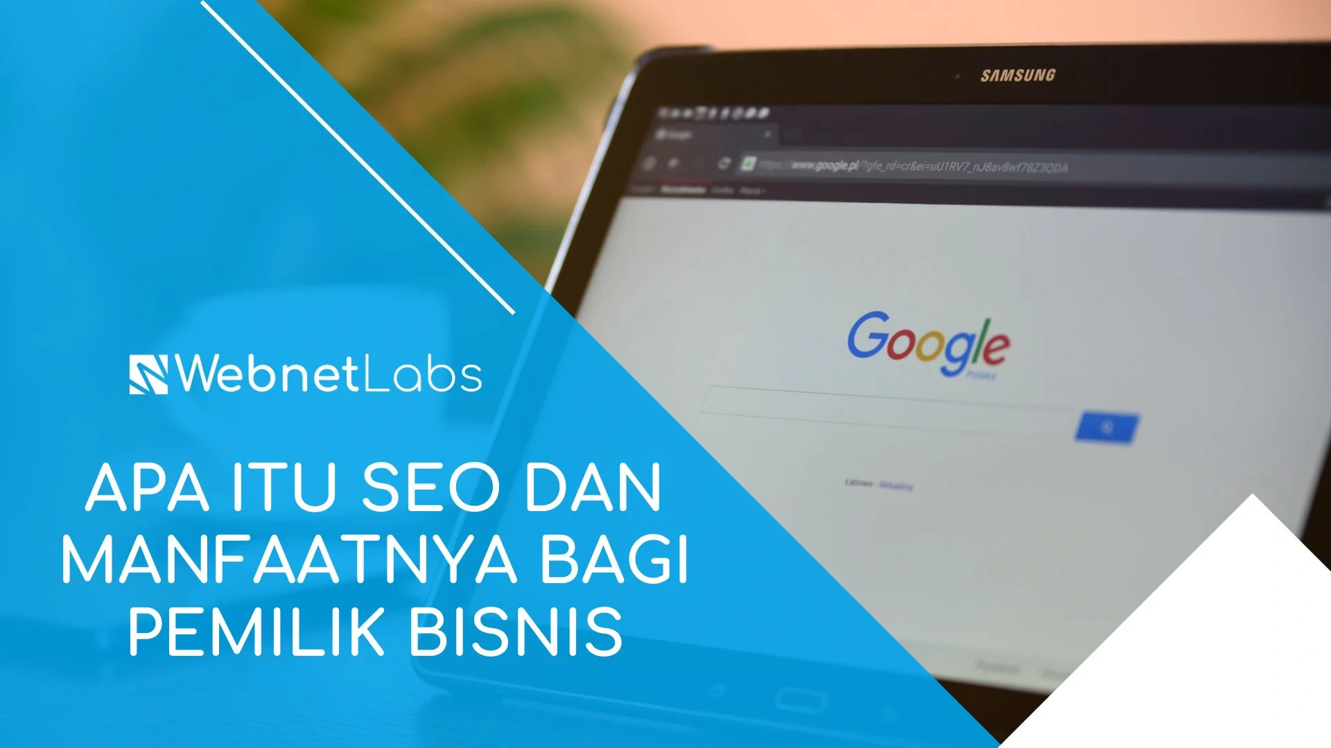 apa itu seo